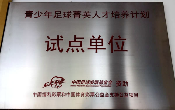 鲸鱼体育平台图片