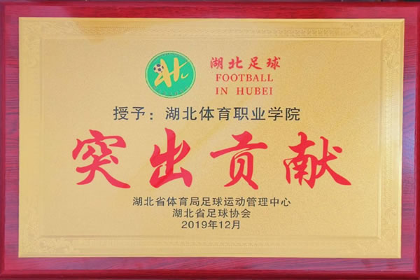 鲸鱼体育安全通道