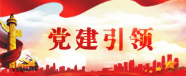 鲸鱼体育官方指定端