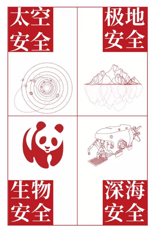 鲸鱼体育加速节点图片
