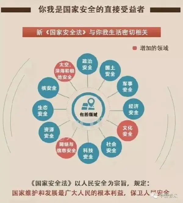 鲸鱼体育手机版图片