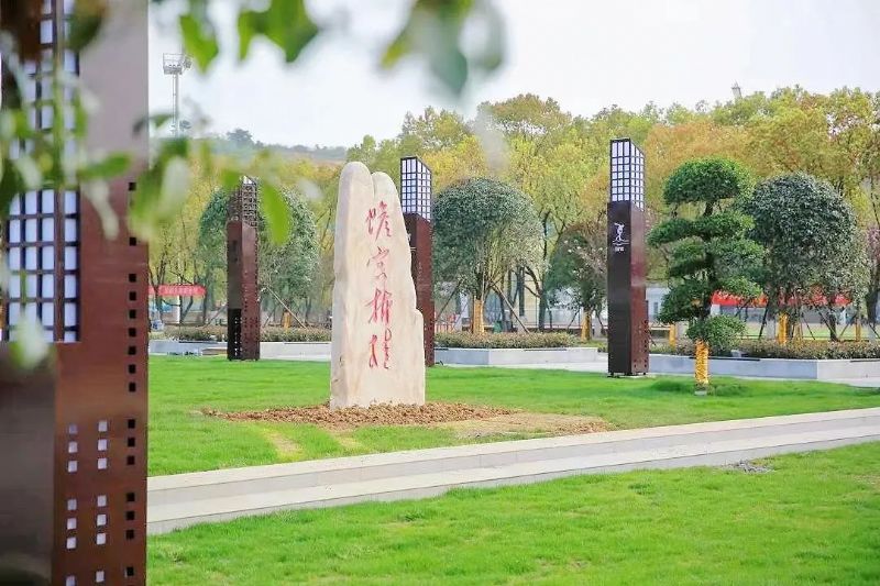 鲸鱼体育体育频道图片