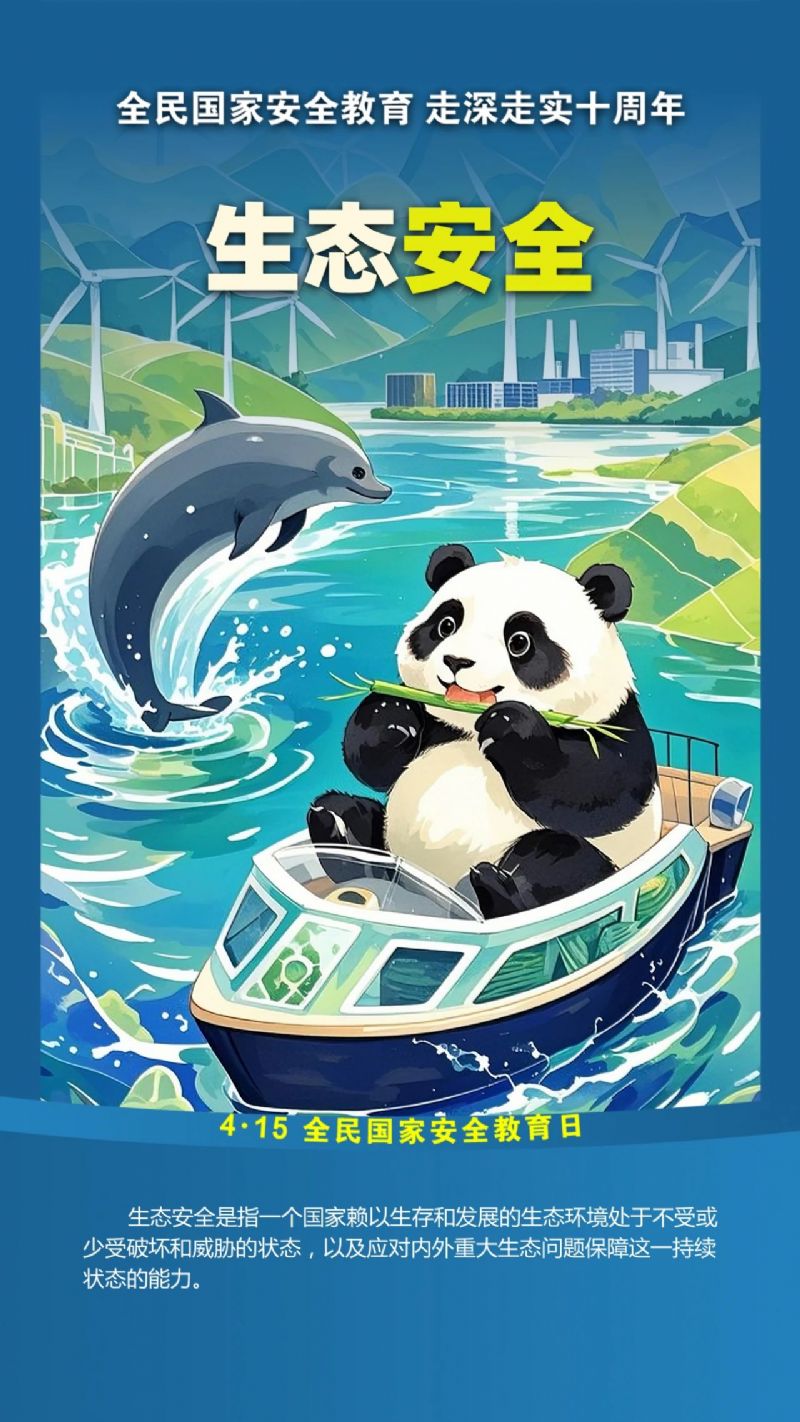 鲸鱼体育安全通道图片