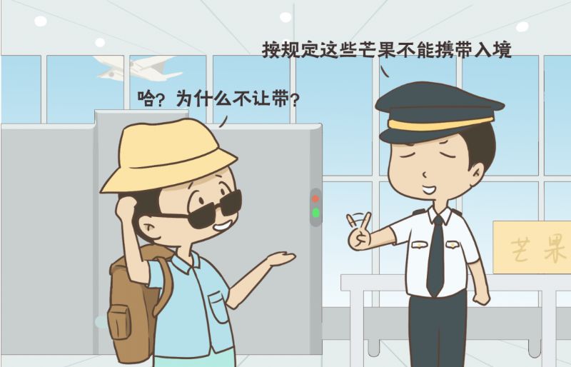 鲸鱼体育直播图片