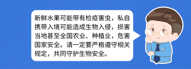鲸鱼体育手机版图片