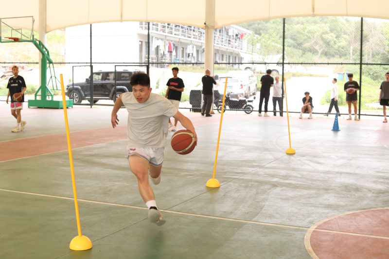 鲸鱼体育安全通道图片