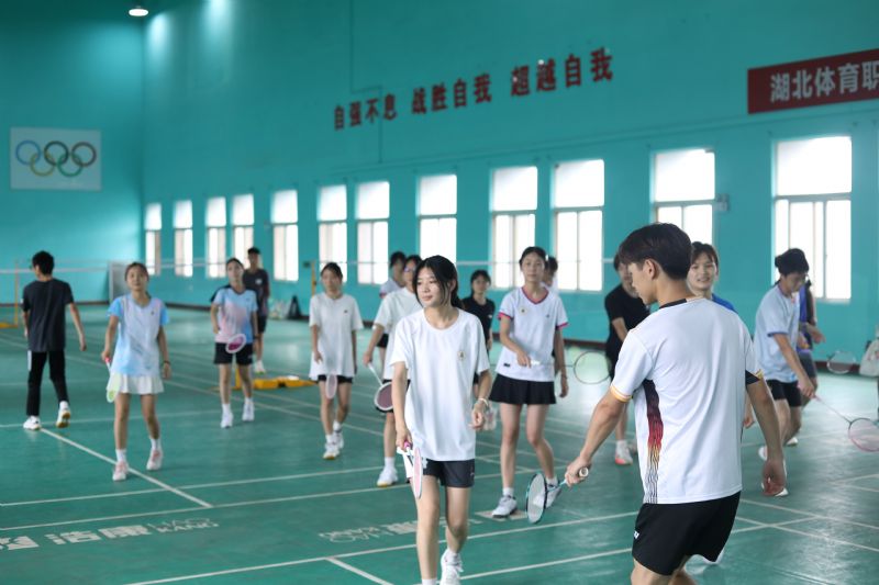鲸鱼体育超级联赛图片