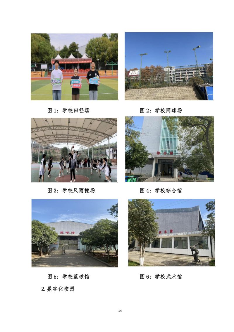 鲸鱼体育直播图片