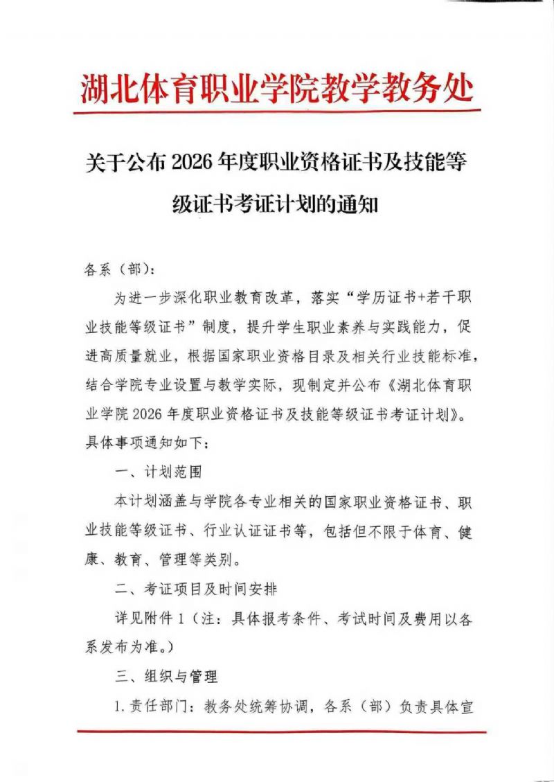 鲸鱼体育安全通道图片