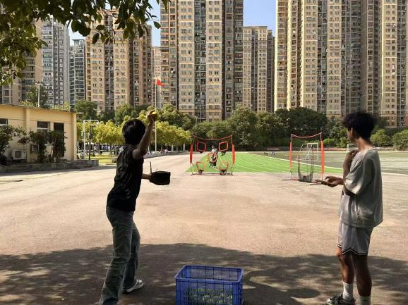 鲸鱼体育指定入口图片