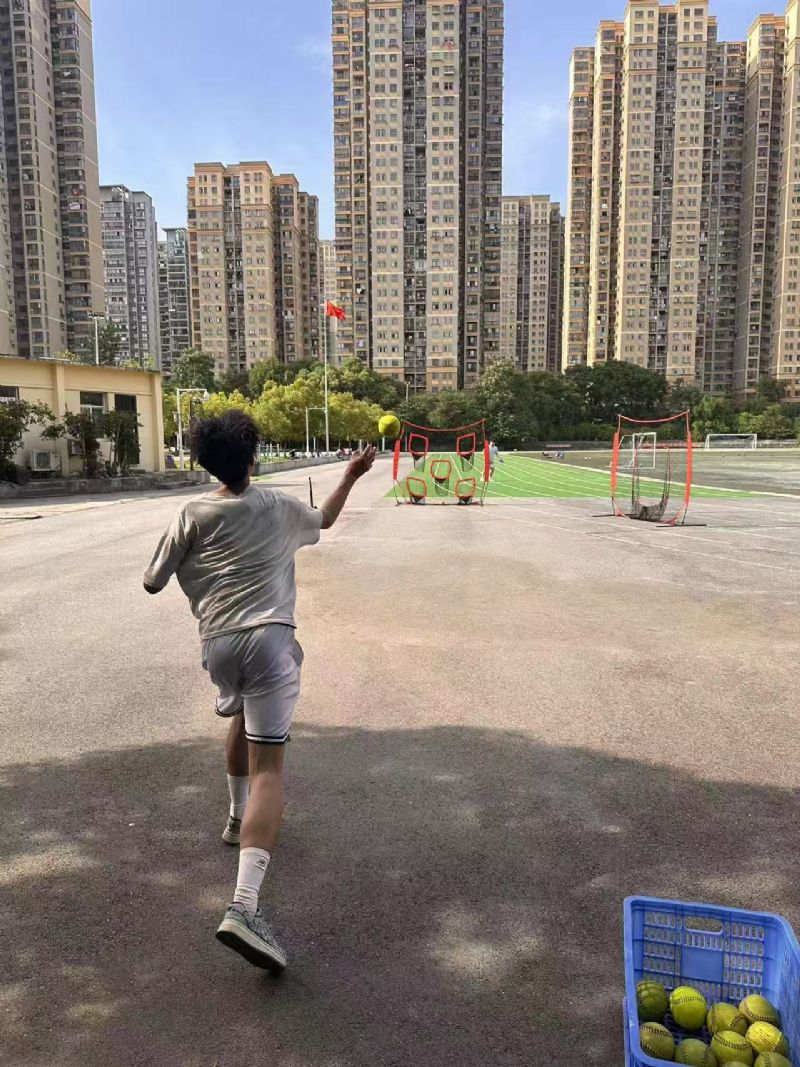 鲸鱼体育核心通道图片
