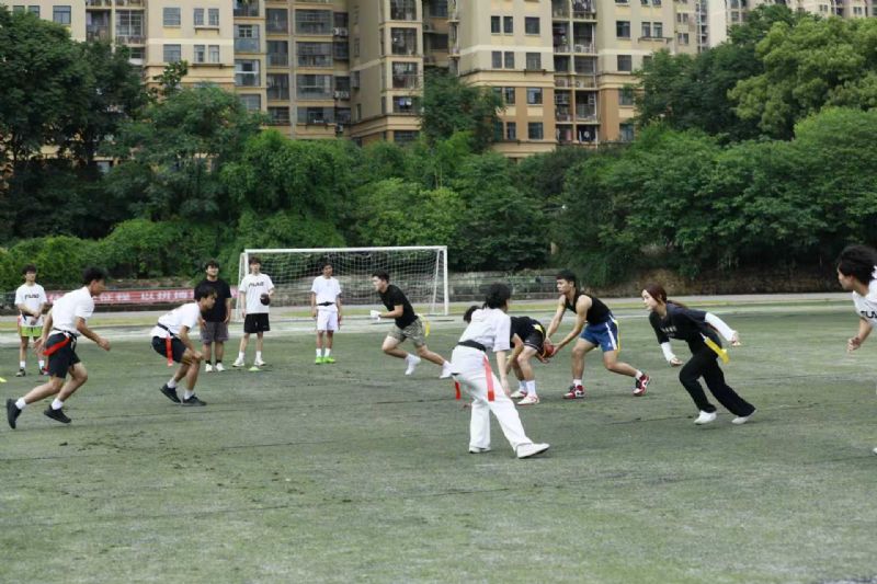 鲸鱼体育官方指定端图片