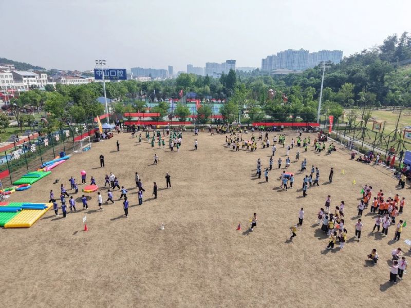 鲸鱼体育安全通道图片