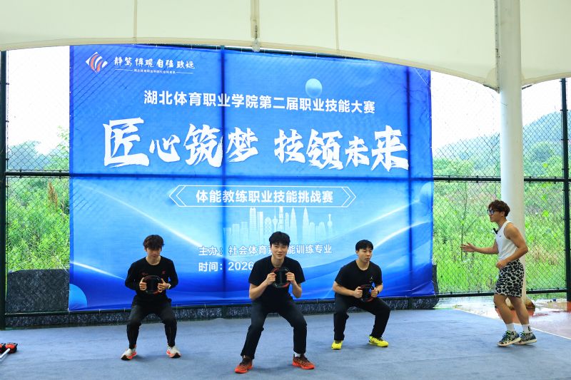 鲸鱼体育稳定线路图片