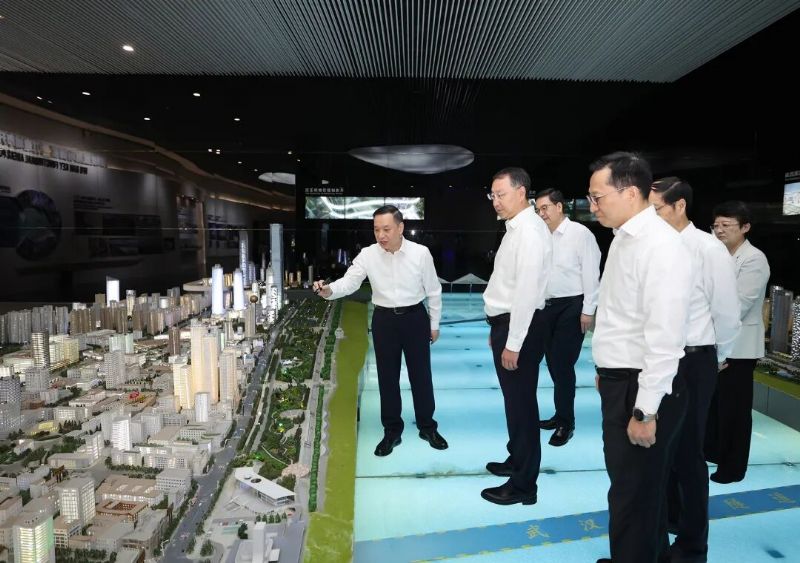 鲸鱼体育稳定线路图片
