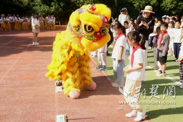 鲸鱼体育核心通道图片