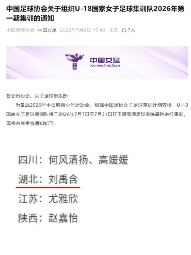 鲸鱼体育欧洲杯图片